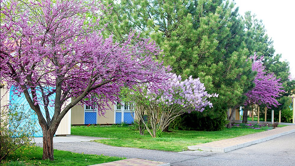 Закрытая охраняемая территория 