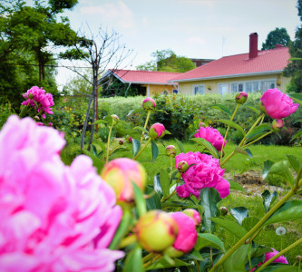 Территория гостиничного комплекса